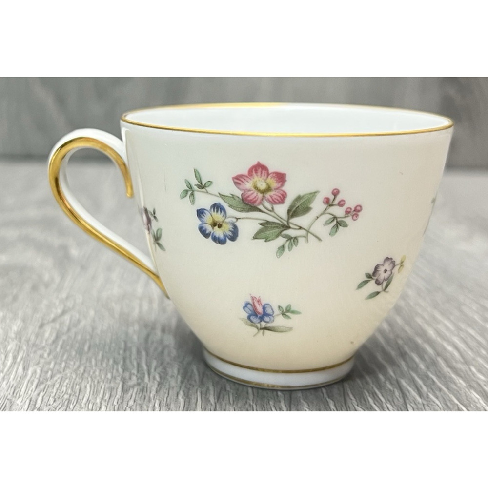 Franconia Fleurettes Selb Bavaria Tea Cup & Saucer Set Colorful Floral Gold Trim - Picture 9 of 14